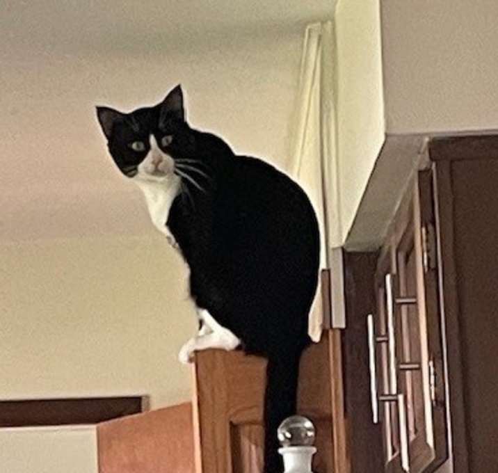 Photo of Kevin