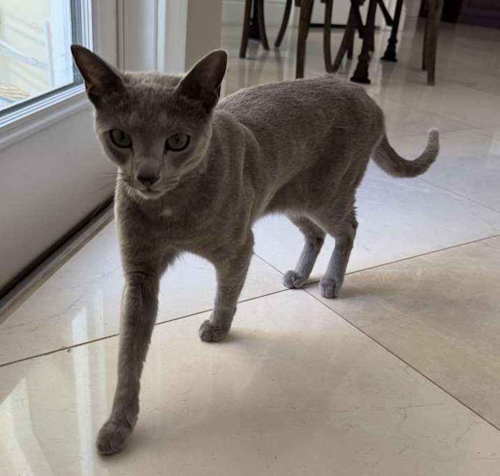 Photo of Oliver