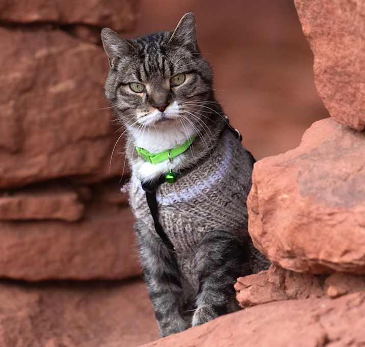 Photo of Bruce