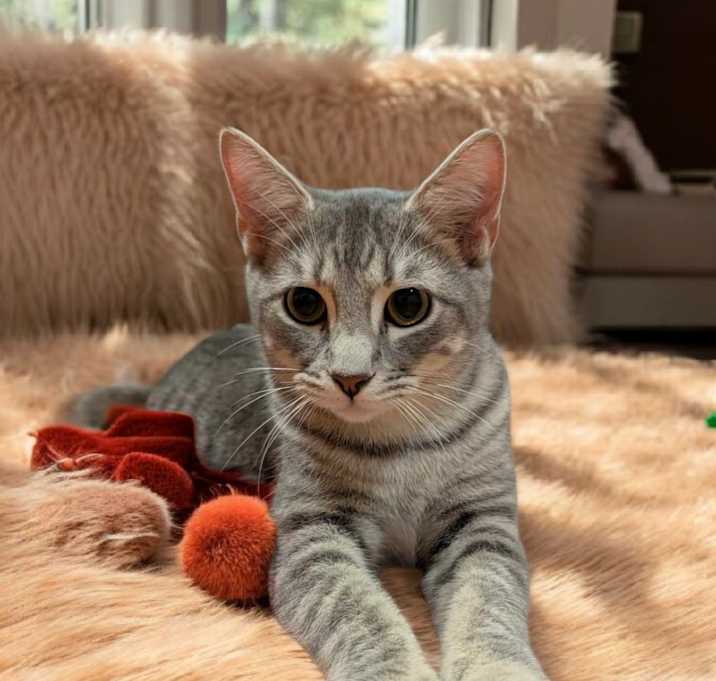 Photo of Stormy
