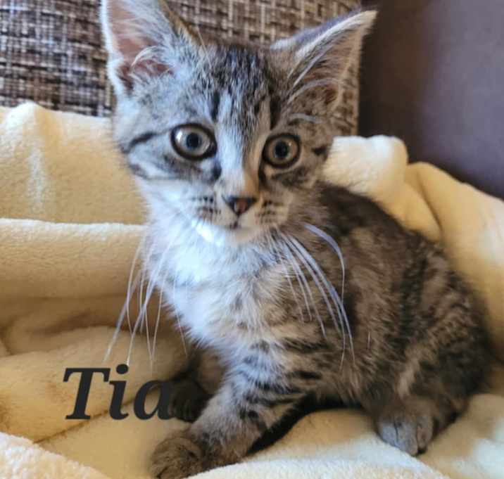 Photo of Tia