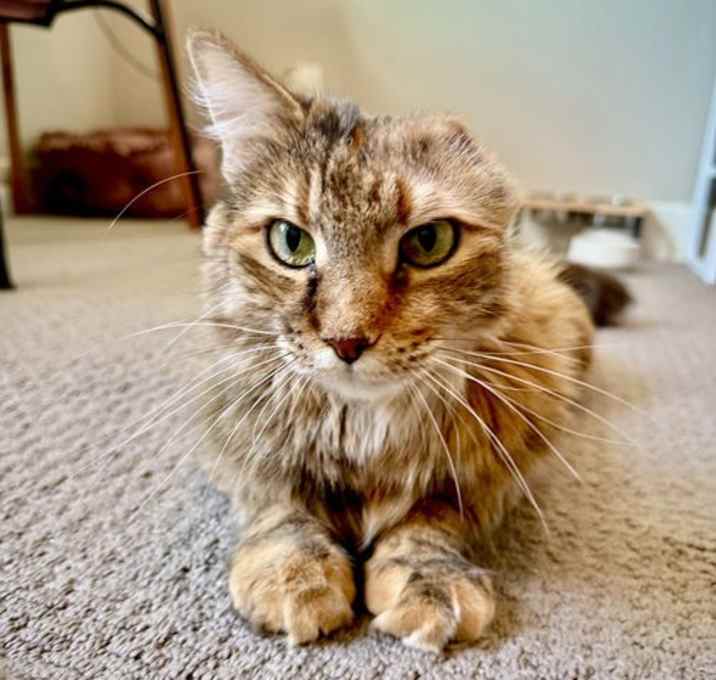 Photo of Roxy