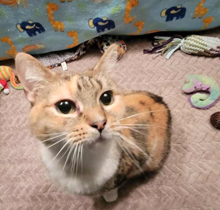 Photo of Big Momma Rae