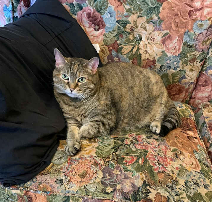 Photo of Storm