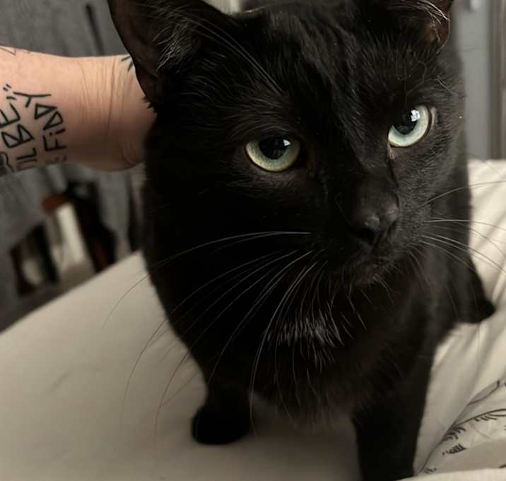 Photo of Gigi