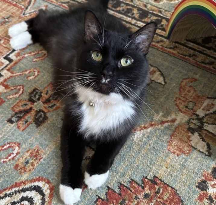 Photo of Pepper