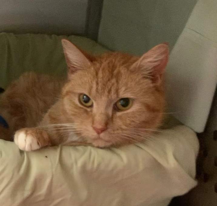 Photo of Tilly