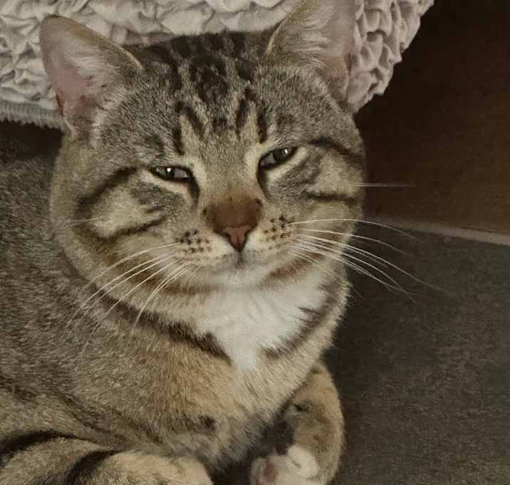 Photo of Friend