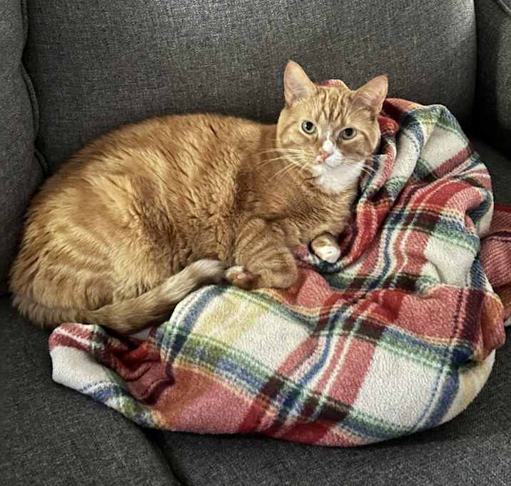 Photo of Theo