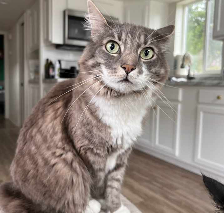 Photo of Frank