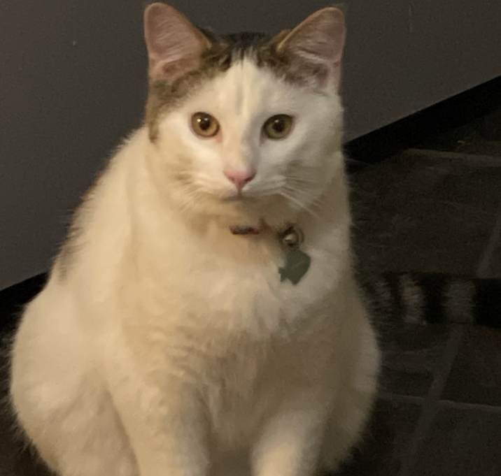 Photo of Hermes