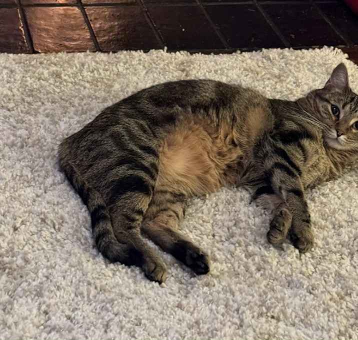 Photo of Jazz