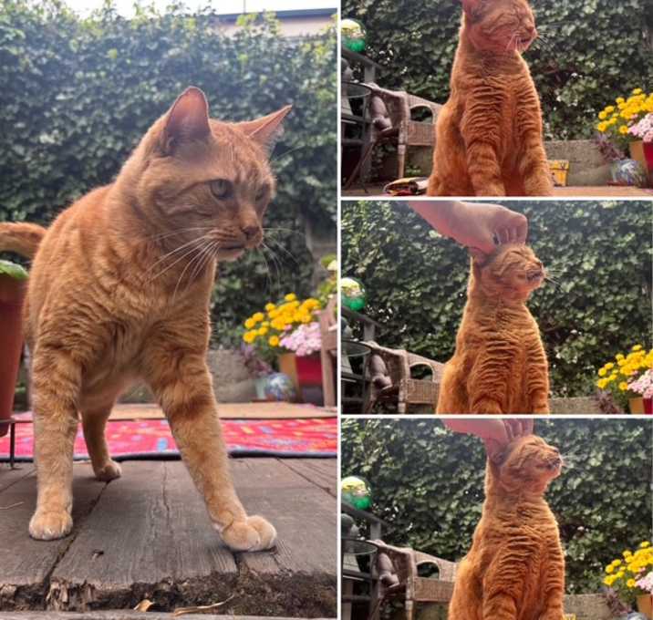 Photo of Monty