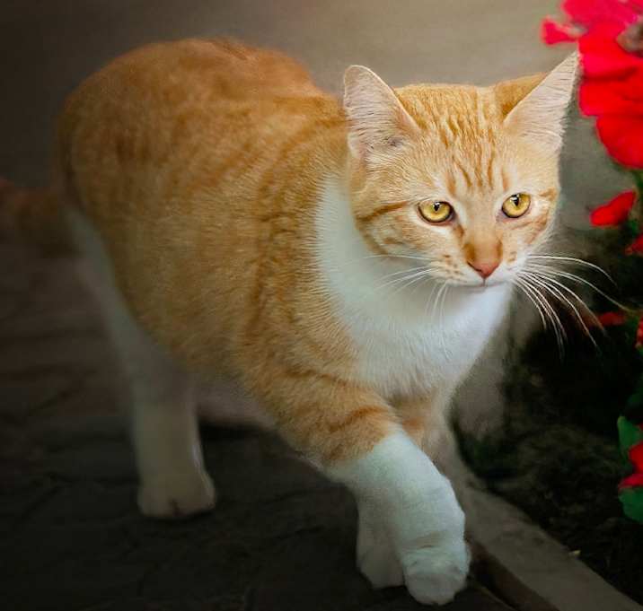 Photo of Mazey