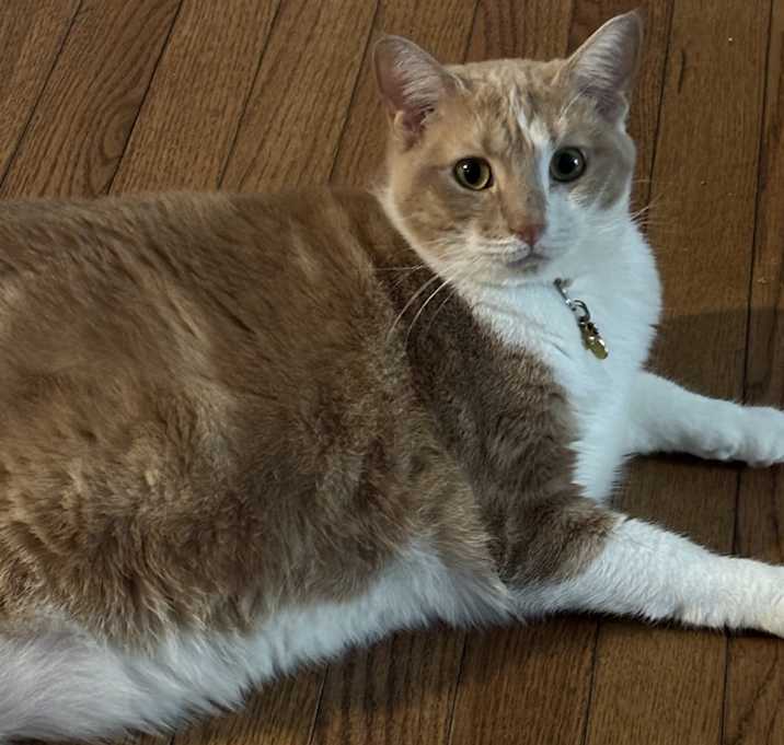 Photo of Pina