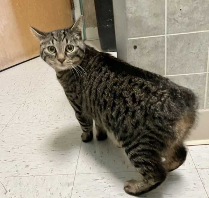 Photo of Misty Slim