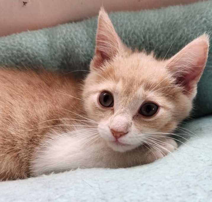 Photo of Maggie