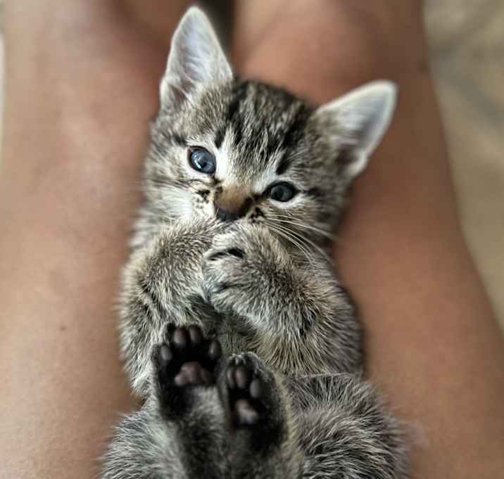 Photo of Baby1