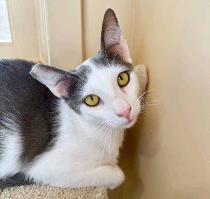 Photo of Jude