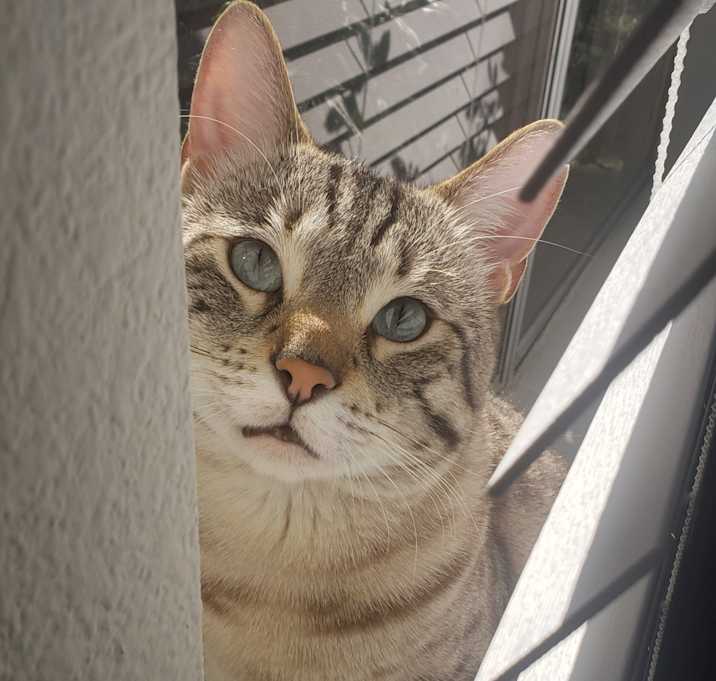 Photo of Ares