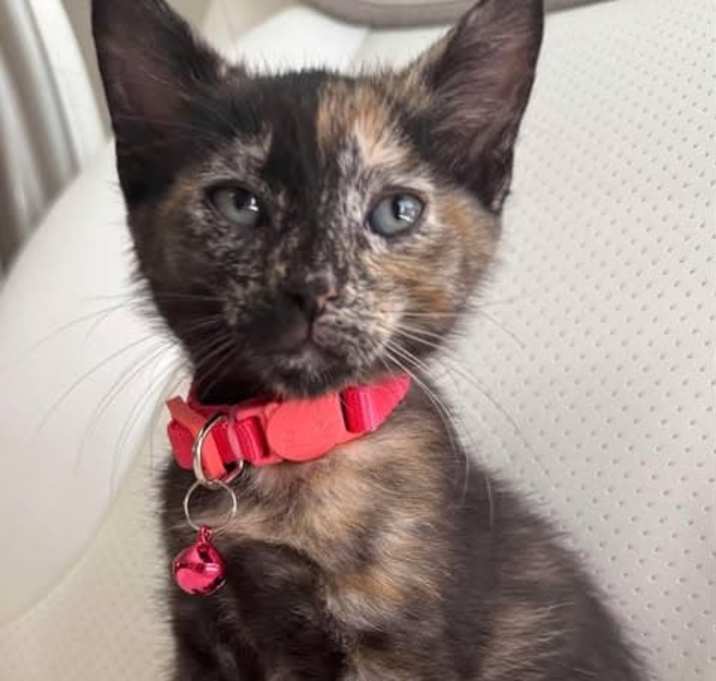 Photo of Fiona