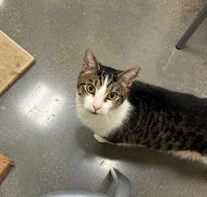 Photo of O’Malley