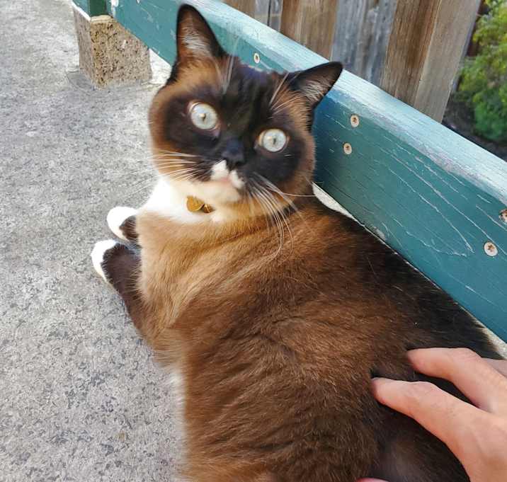 Photo of Cloud