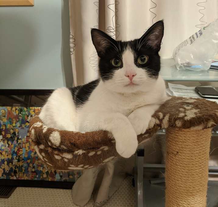 Photo of Mimi