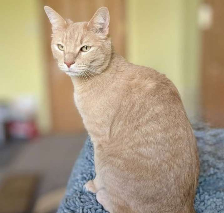 Photo of Freddy