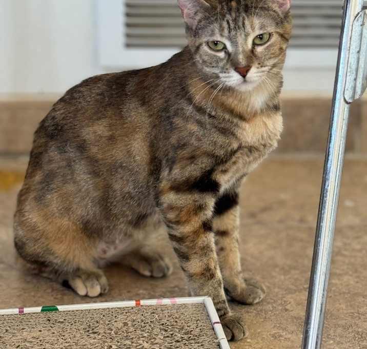 Photo of Lily