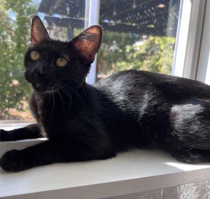 Photo of ELLIE