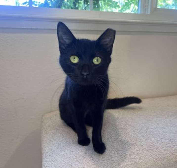 Photo of WINNIE