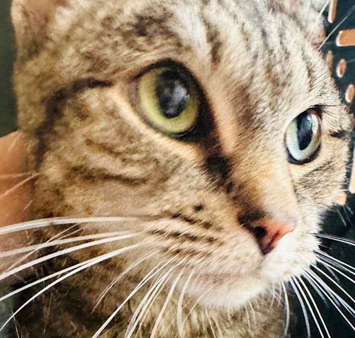 Photo of Hazel