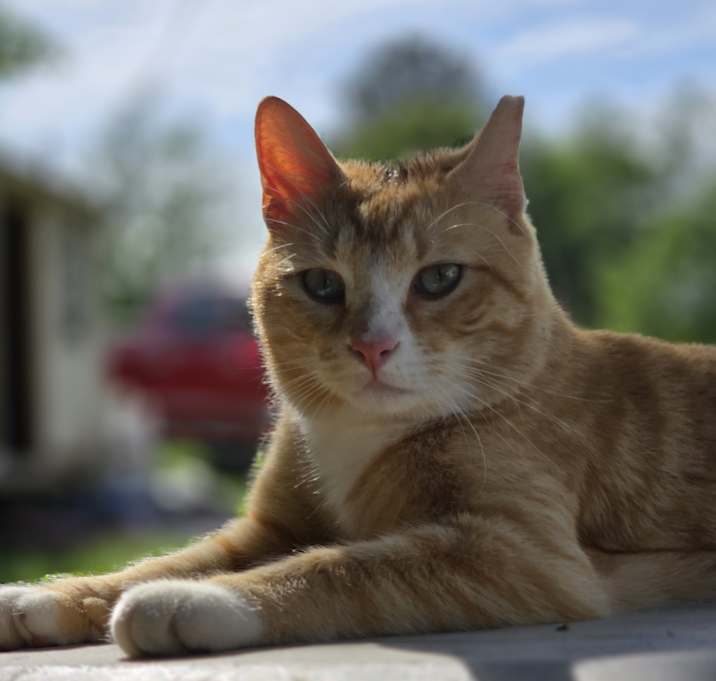 Photo of Rigsby