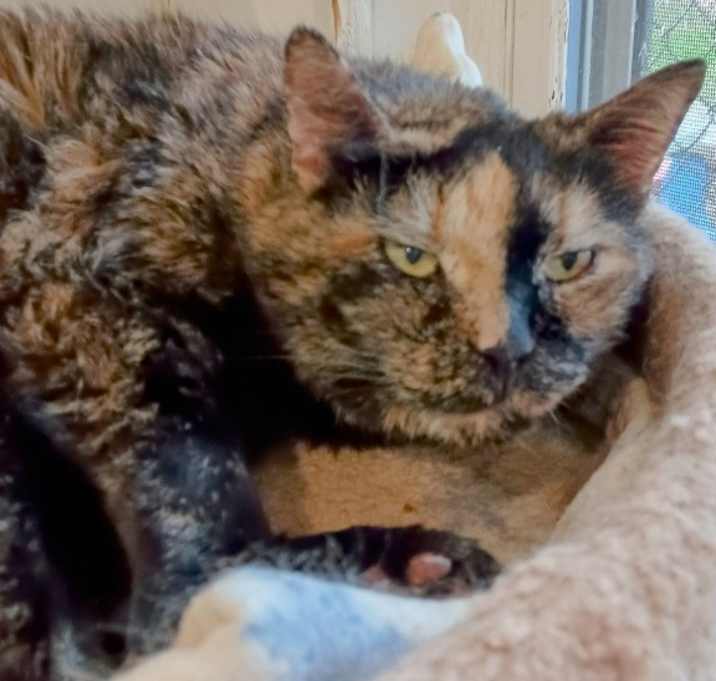 Photo of Baby Girl