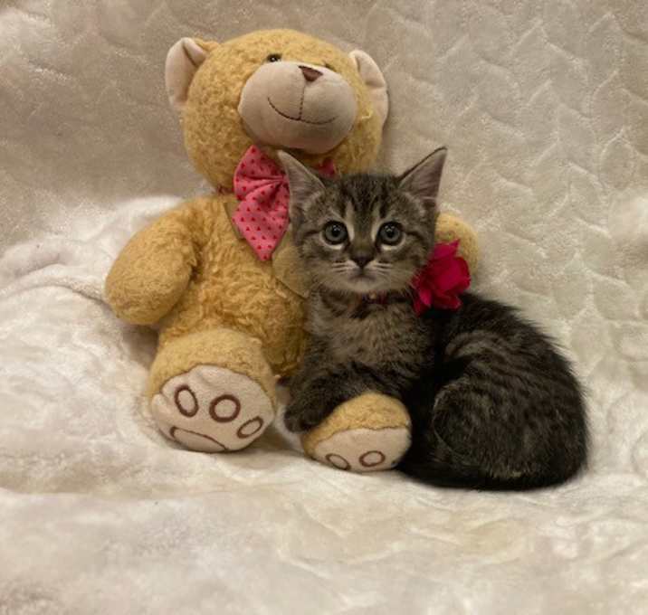 Photo of Bonnie