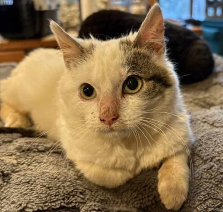 Photo of Macha