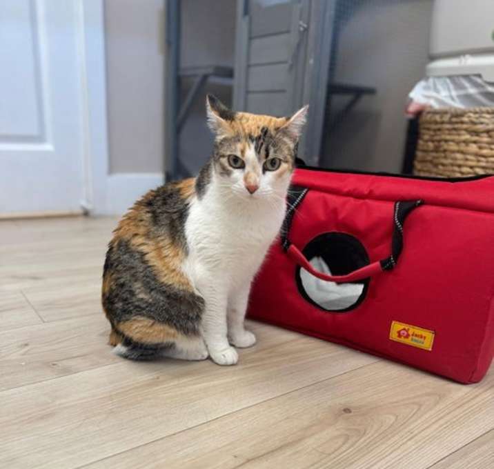 Photo of Ramona