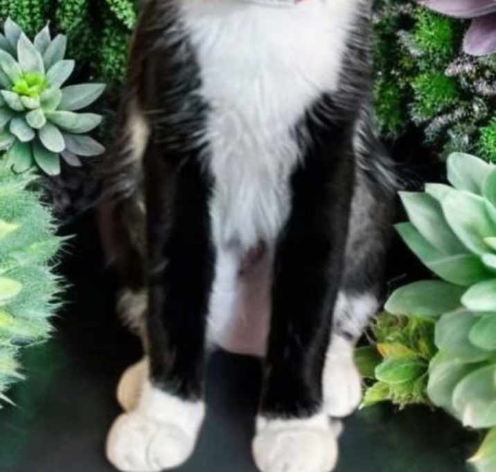 Photo of Maxine