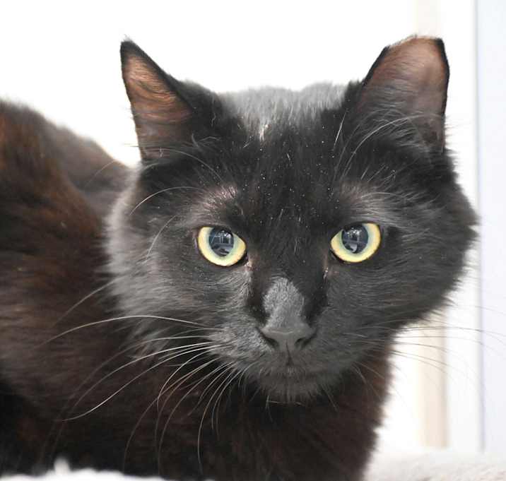 Photo of Little B