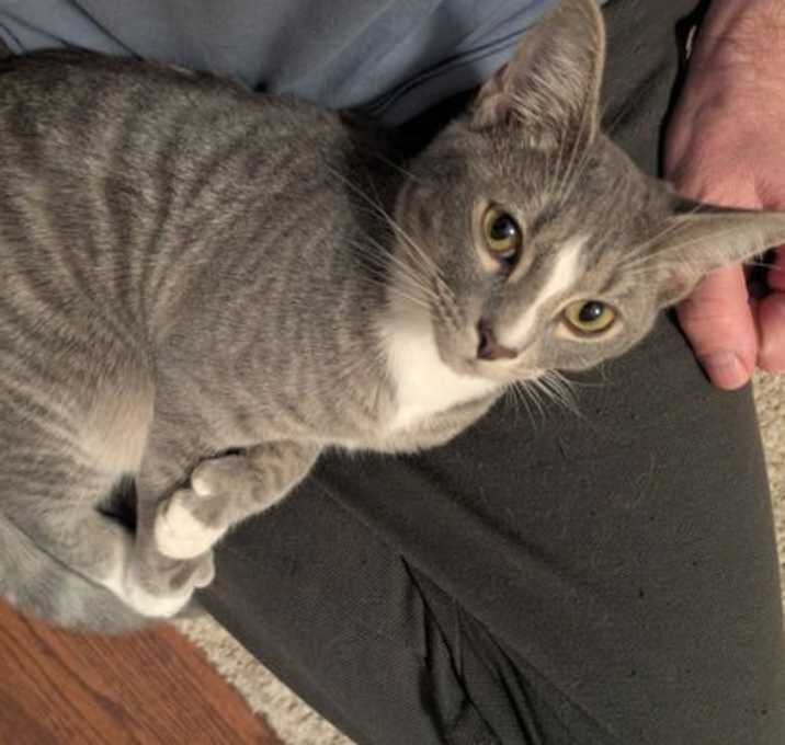Photo of Fender