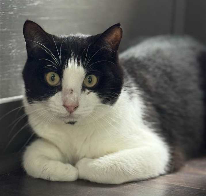 Photo of Cessna