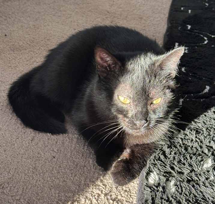 Photo of Rhaenyra
