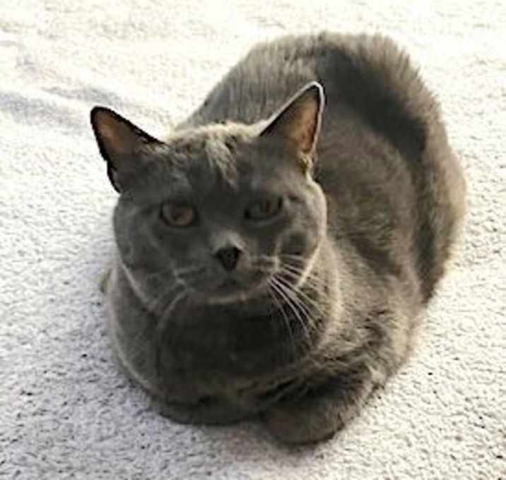 Photo of Lillie Belle