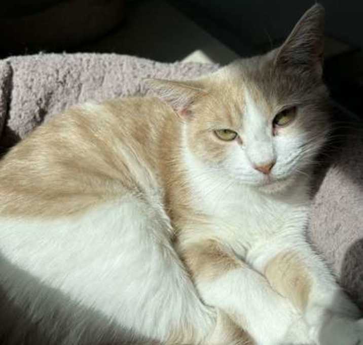 Photo of Jermajesty