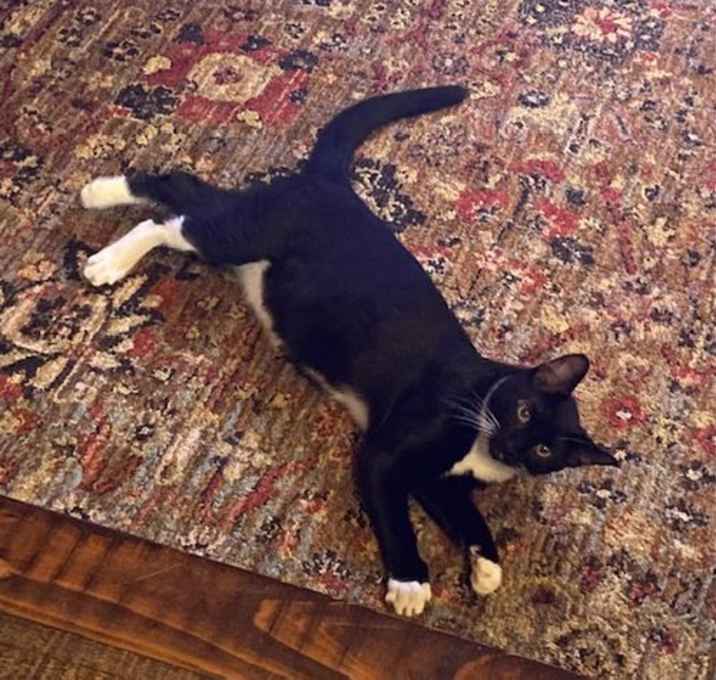 Photo of Simon