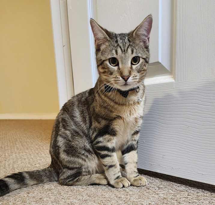 Photo of Mandu