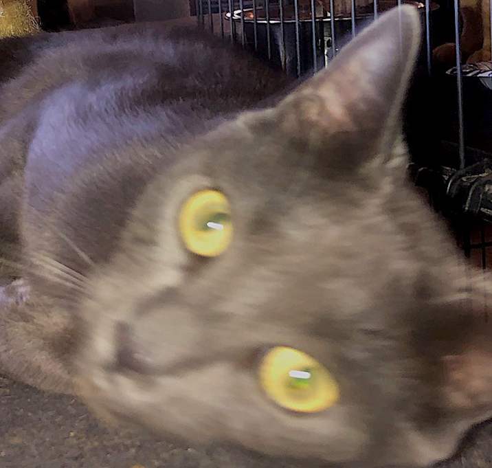 Photo of SMOKE