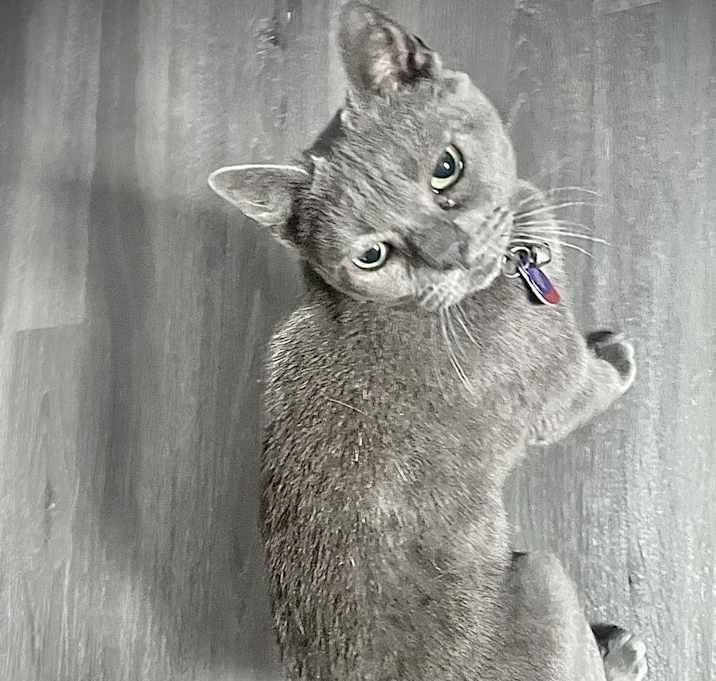 Photo of Zina
