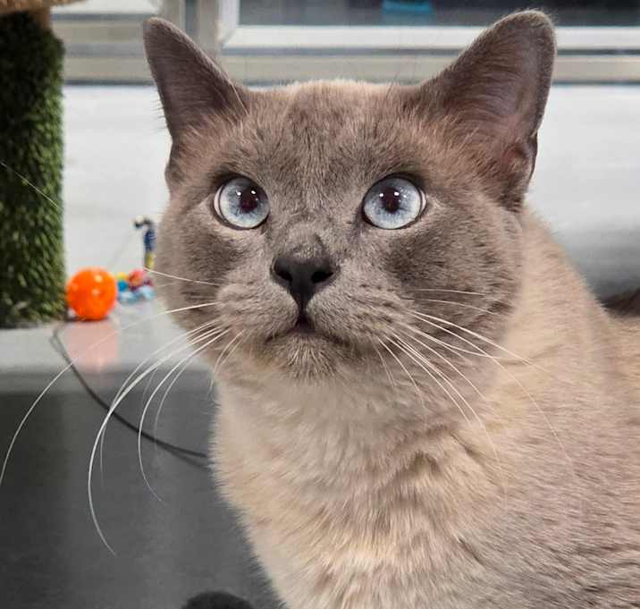 Photo of Gumball